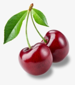 Two Cherries On Stem, HD Png Download, Free Download