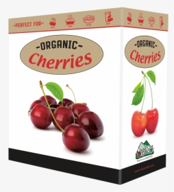 Cherry, HD Png Download, Free Download