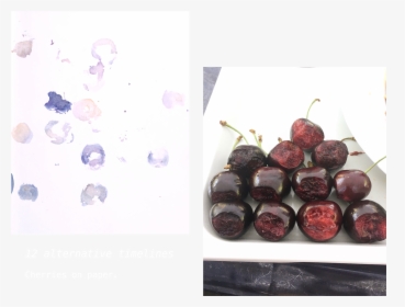 Chokeberry, HD Png Download, Free Download