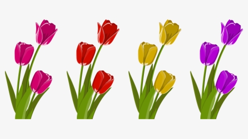 Cut Flowers Tulip Petal - Tulip, HD Png Download, Free Download