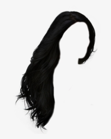 Hairstyles Png Hd - Transparent Black Hair Png, Png Download, Free Download
