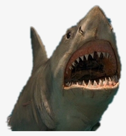 #jaws - Jaws Png Shark, Transparent Png, Free Download