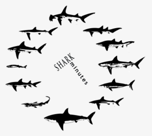 The Updated Shark Minutes Logo And T-shirts Are Here - Shark, HD Png Download, Free Download