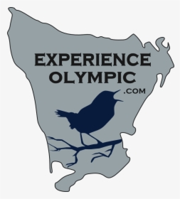 Experience Olympic Logo Shows An Outline Of The Entire, HD Png Download, Free Download