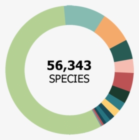 56,343 Species - Most Biodiverse Country, HD Png Download, Free Download