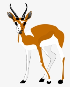 Antelope Clipart Png, Transparent Png, Free Download