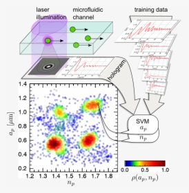 Particle Tracking Velocimetry Deep Learning, HD Png Download, Free Download