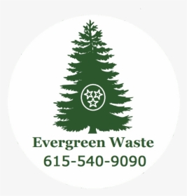 Can Logo With Tri Star - Silhouette Tree Vector Png, Transparent Png, Free Download