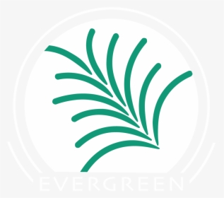 Evergreen Ils Logo Png, Transparent Png, Free Download