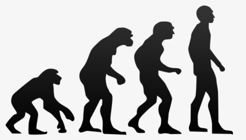 File - Human Evolution - Svg - Evolution Of Humans, HD Png Download, Free Download