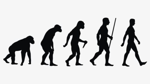Human Nutrition Needs - Evolution Theory, HD Png Download, Free Download