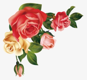 Hand Drawn Cartoon Fashion Rose Flower Decoration Vector - Floribunda, HD Png Download, Free Download