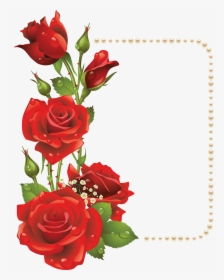 Floral Frame Png - Rose Frame Design, Transparent Png, Free Download