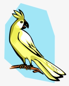 Vector Illustration Of Cockatoo Parrot Bird - Kartun Burung Dipohon, HD Png Download, Free Download