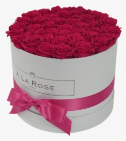 Orb Grand Hot Pink Roses"  Class="lazyload Lazyload - Garden Roses, HD Png Download, Free Download