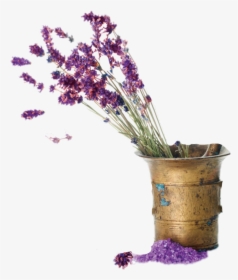 #lavender #flowers #bucket #stems - 伊 聖 詩 精油, HD Png Download, Free Download