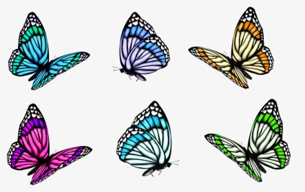 Full Color Clipart - Butterfly Clipart Png, Transparent Png, Free Download