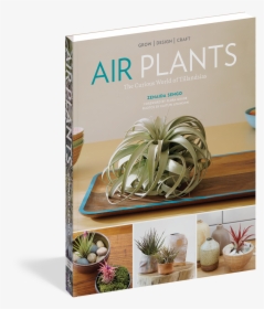 The Curious World Of Tillandsias - Air Plants Book, HD Png Download, Free Download