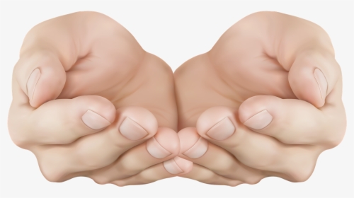 Hand Png Image Free Download - Cupped Hand Transparent, Png Download, Free Download