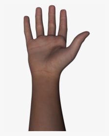 Body Parts Clipart Hand - Part Of Body Hand Png, Transparent Png, Free Download