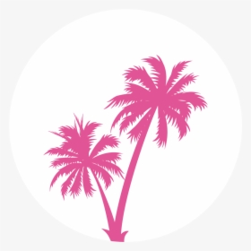 Vector Palm Tree Png, Transparent Png, Free Download