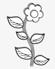 Pictures Of Flower Drawings - Plant In Black And White, HD Png Download, Free Download
