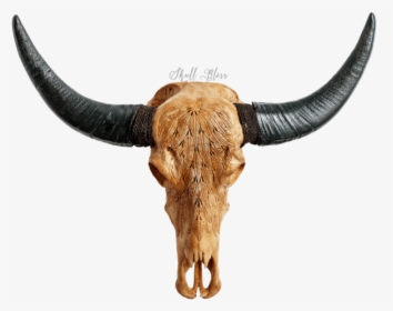 Bull, HD Png Download, Free Download