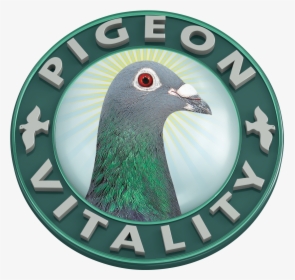 Pigeon Vitality, HD Png Download, Free Download