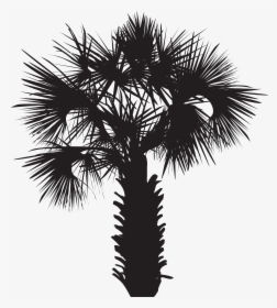 Palm Clipart Palmetto Tree, HD Png Download, Free Download