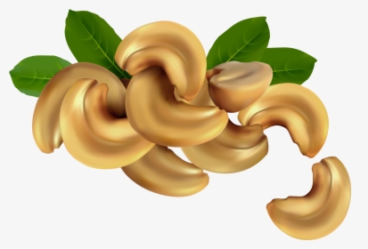 Cashew Nuts Png Clipart Image - Cashew Clipart Png, Transparent Png, Free Download