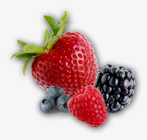 Berries Png Transparent Pictu - Berries Png Transparent, Png Download, Free Download
