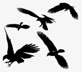 Raven Flying Png Photos - Free Eagle Silhouette, Transparent Png, Free Download