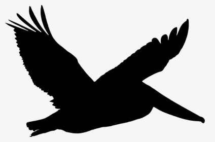Brown Pelican In Flight Silhouette Clip Arts - Brown Pelican Png, Transparent Png, Free Download