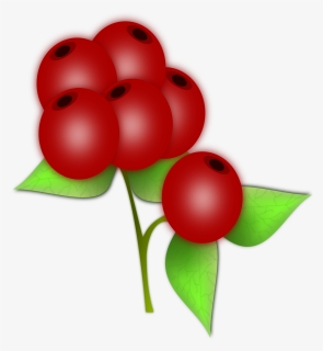 Vector Drawing Of Leaves And Berries Of A Holly - Red Berry Clipart, HD Png Download, Free Download
