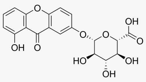 Euxanthic Acid - Poly 9 9 Dioctylfluorene, HD Png Download, Free Download