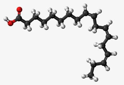 Alpha Linolenic Acid, Fatty Acid, Unsaturated, Molecule - Linoleic Acid 3d Structure, HD Png Download, Free Download