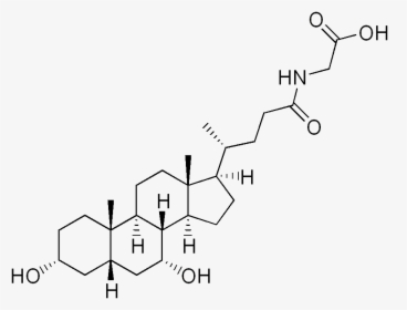 Glycochenodeoxycholic Acid - Alpha Muricholic Acid, HD Png Download, Free Download