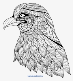 Mandala De Animales Aguila - Zentangle Eagle Coloring Pages, HD Png Download, Free Download