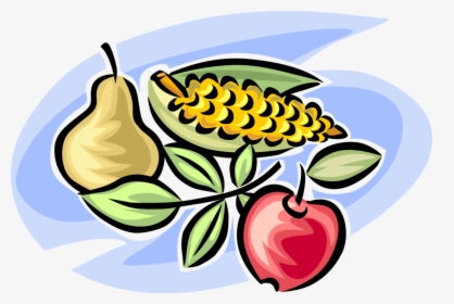 Vector Illustration Of Fall Or Autumn Harvest Fruit, HD Png Download, Free Download