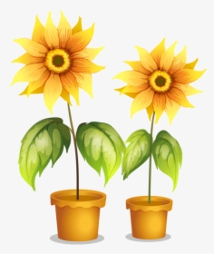 7 I Think Of You, Classroom Decor, Sunflower Clipart, - Different Types Of Flowers Clipart, HD Png Download, Free Download