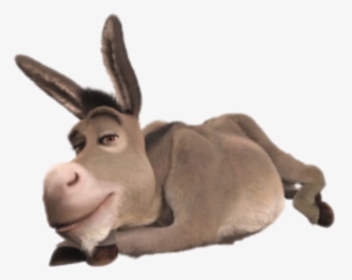 Shrek Clipart Animated - Donkey From Shrek Laying Down, HD Png Download, Free Download