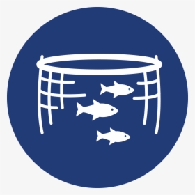 Aquaculture Png 3 » Png Image - Aquaculture Png, Transparent Png, Free Download