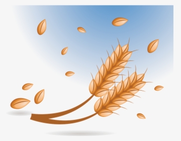 Wheat, Bread, Granules, Food, Flour, Grain, Bakery - Hạt Lúa Mạch Vector, HD Png Download, Free Download