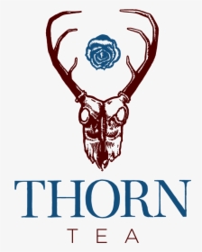 Thorn Tea Logo Vertical Large Copy, HD Png Download, Free Download