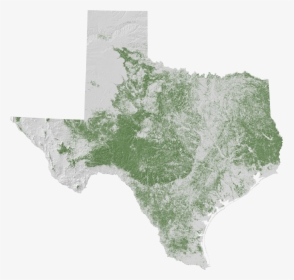 Forests Of Texas - Map Of Texas Forests, HD Png Download, Free Download