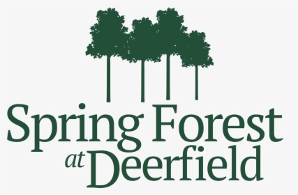 The Forest Logo Png - Tree, Transparent Png, Free Download