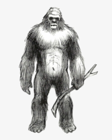 #handdrawn #bigfoot #sasquatch #yeti #yowie #booger - Drawings Of A Skunk Ape, HD Png Download, Free Download