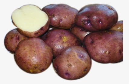 Russet Burbank Potato, HD Png Download, Free Download