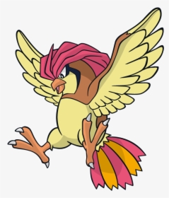 Pokemon Pidgeotto, HD Png Download, Free Download