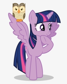 Safe, Simple Background, Spread Wings, Transparent - My Little Pony Twilight Sparkle And Owl, HD Png Download, Free Download
